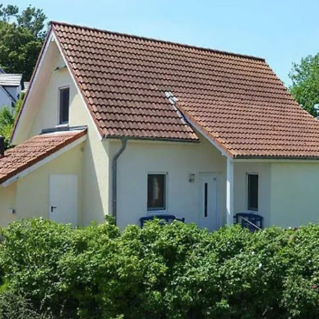 Heckenrose * Göhren-Lebbin