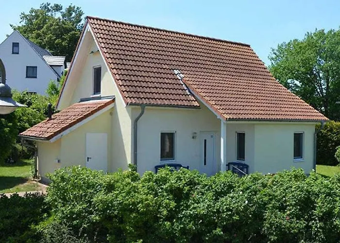 Heckenrose * Göhren-Lebbin
